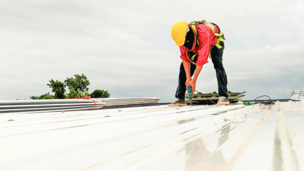 Best Commercial Roofing Services  in Bagley, MN