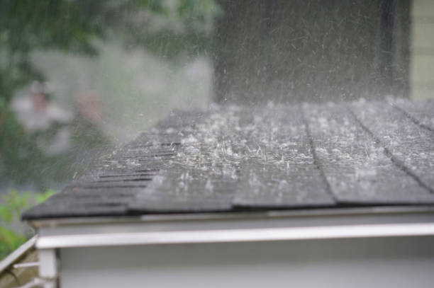 Professional Roofing Service in Bagley, MN